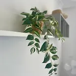 Appartement Shining Loft At Park Golf *