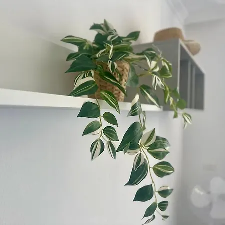 Apartamento Shining Loft At Park Golf *